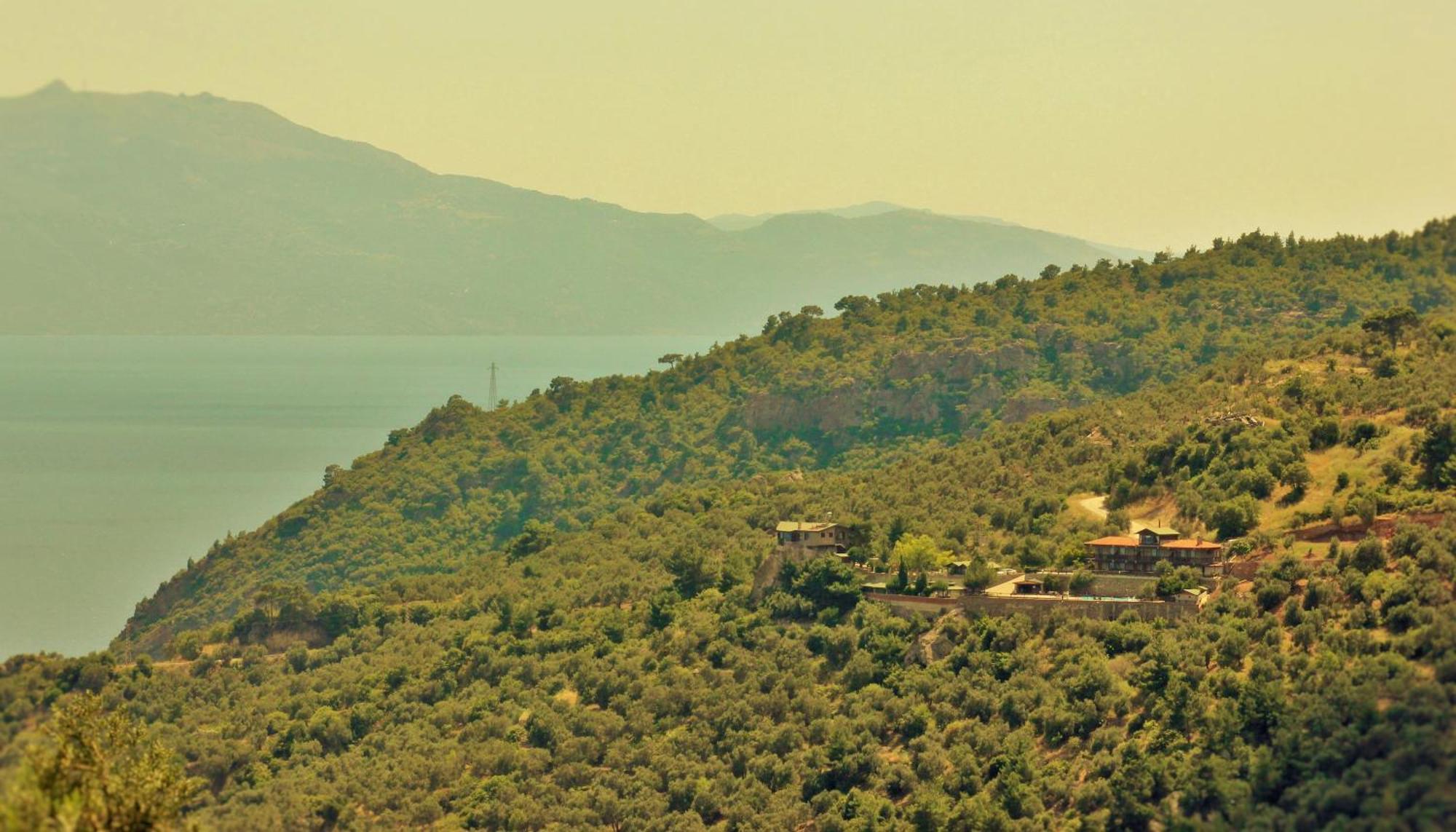Assos Kartal Yuvasi Hotel Sazlı Dış mekan fotoğraf