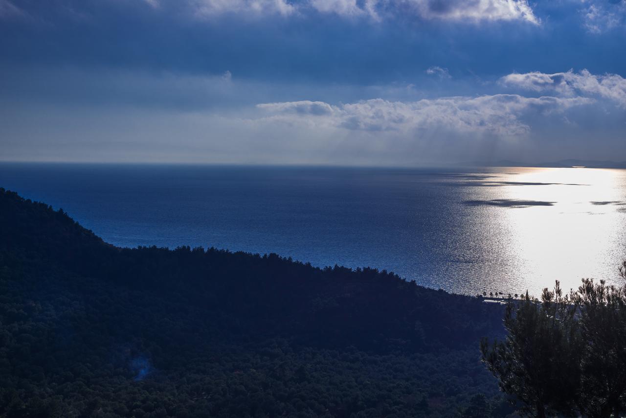 Assos Kartal Yuvasi Hotel Sazlı Dış mekan fotoğraf